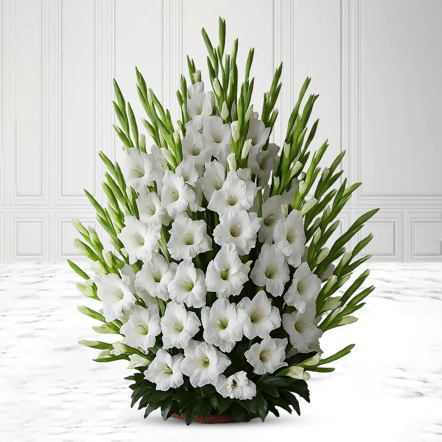 Elegant arrangement of 15 white gladiolus in a stylish glass vase.