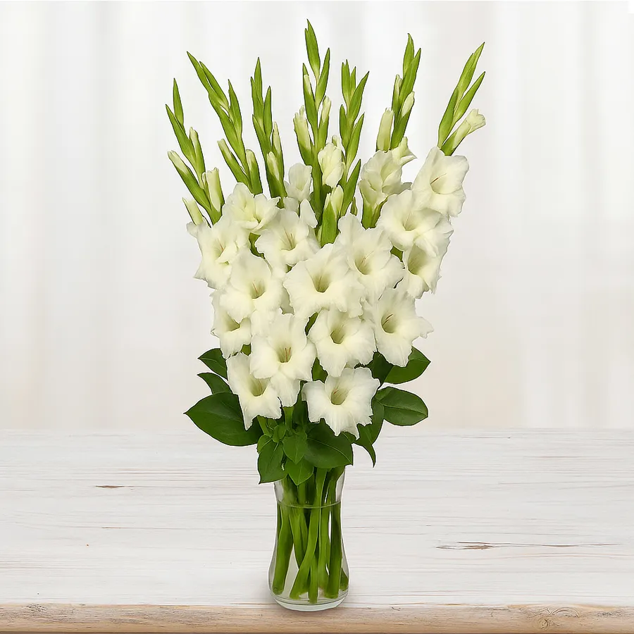Artistic display of 10 pure White Gladiolus in a stylish glass vase.