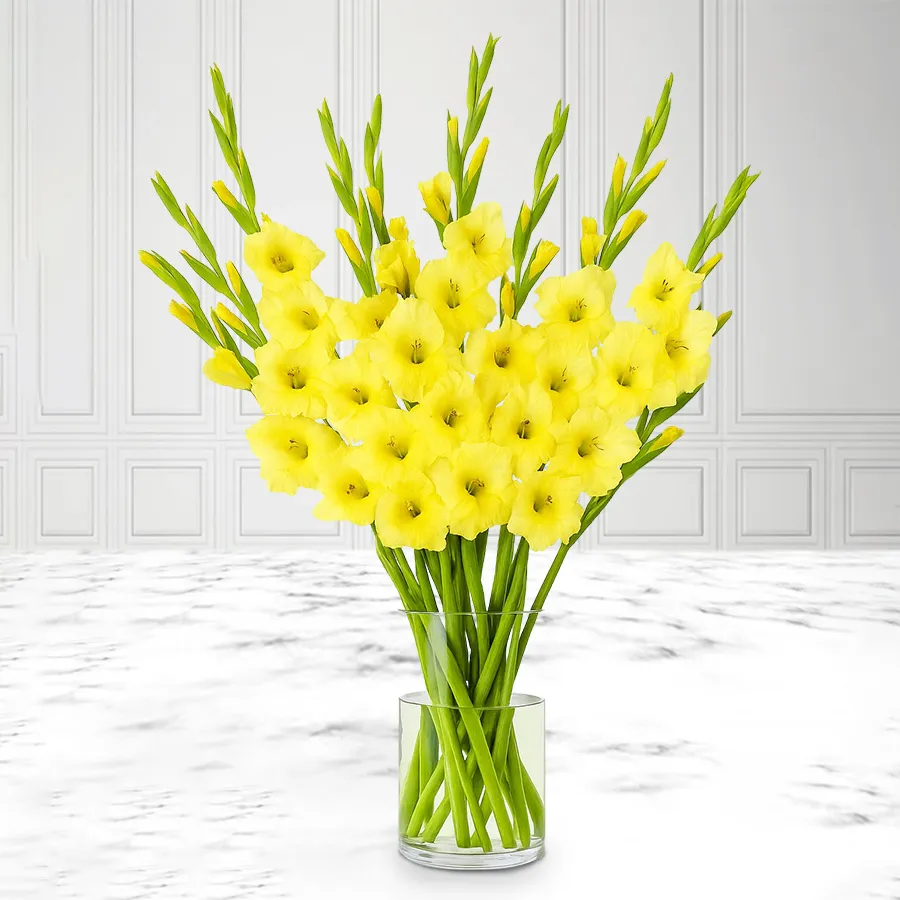 A beautiful arrangement of 10 Yellow Gladiolus in a sleek glass vase, radiating warmth and cheerfulness.