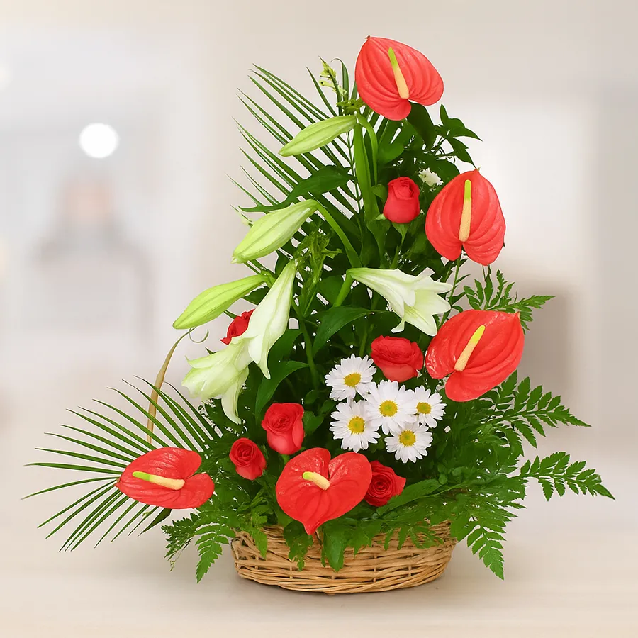 A vibrant arrangement of red Roses, Anthodium, white Lilies, and Chrysanthemum celebrating joy and elegance.