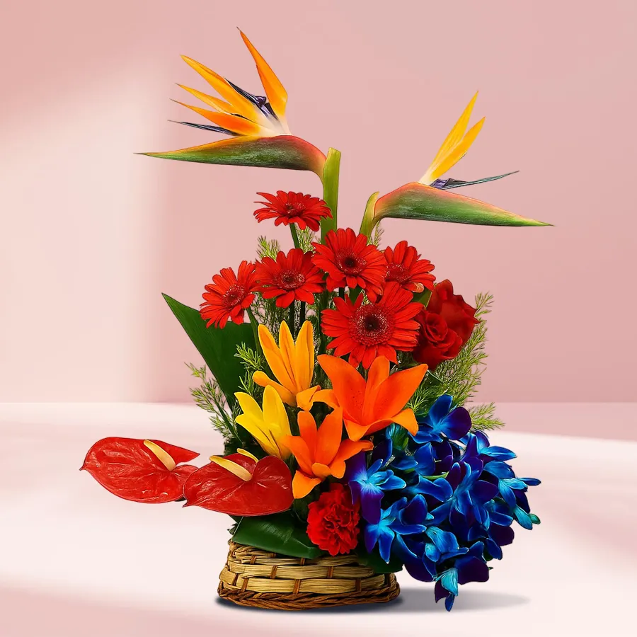 A vibrant Dazzling 23 Flower Elegance Basket featuring assorted flowers, including Bird of Paradise, orange and yellow lilies, anthurium, red gerberas, and blue orchids.