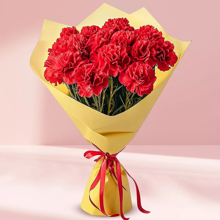 Beautiful bouquet of 12 red carnations with fillers, symbolizing love and elegance.