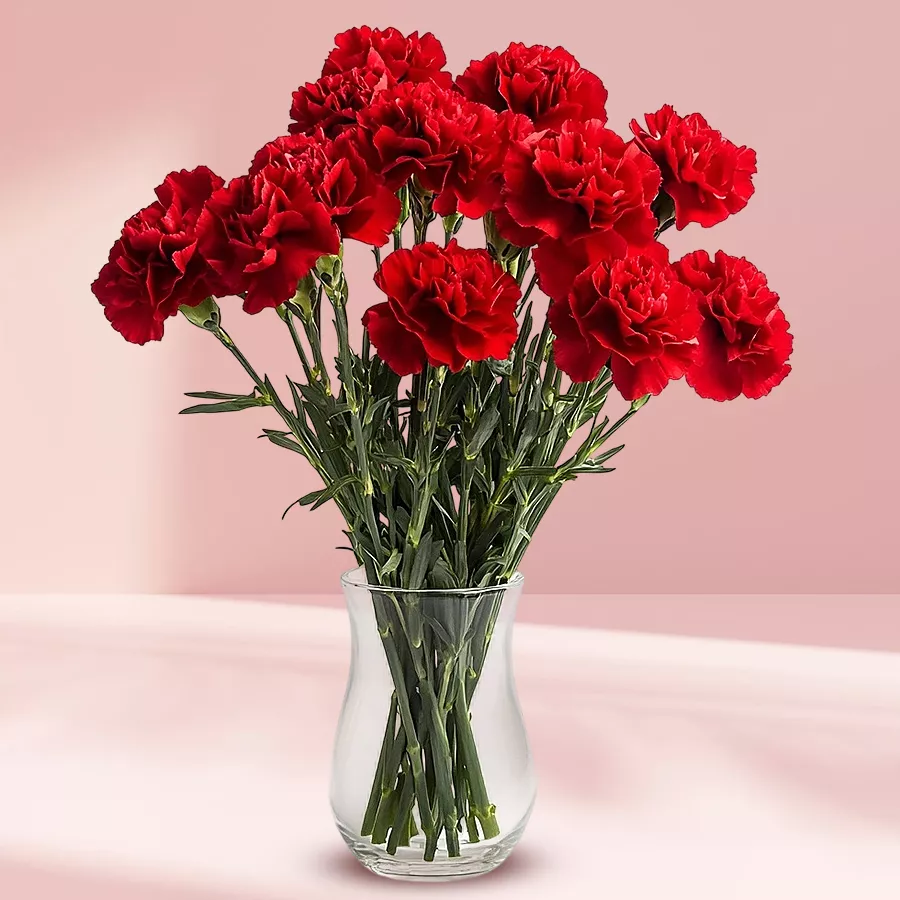 A collection of 15 red carnations arranged in a stylish glass vase, symbolizing love and thoughtfulness.