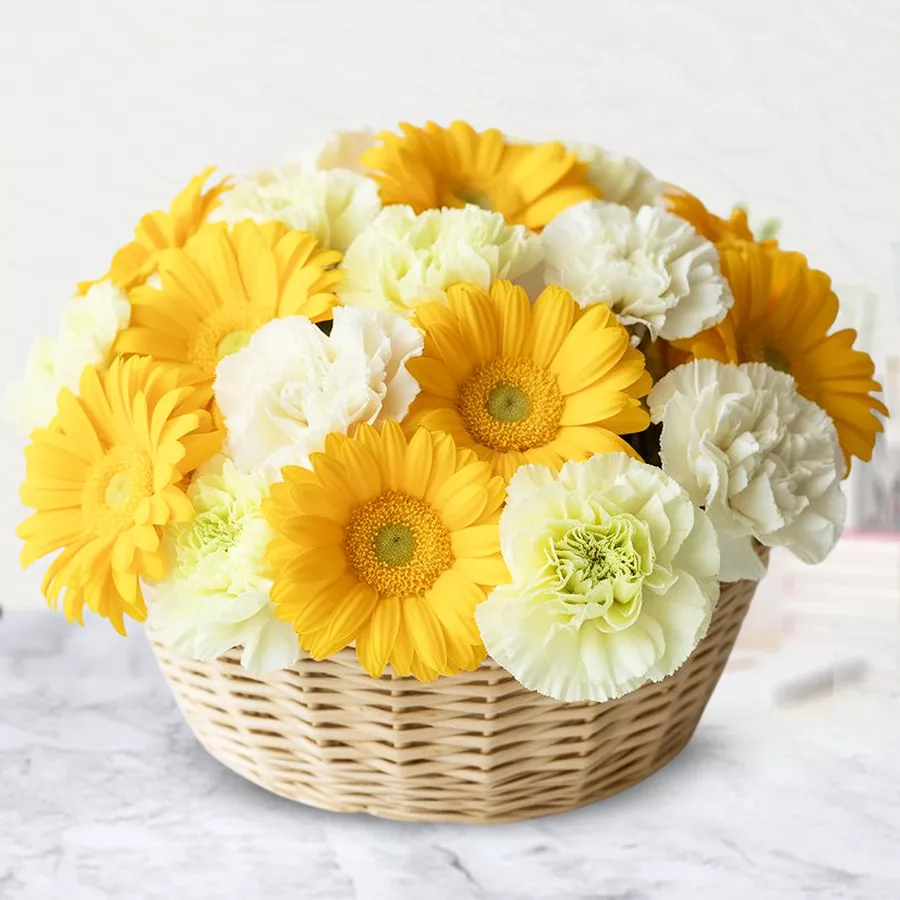 A vibrant basket featuring 7 gerberas and 5 carnations, radiating beauty and warmth, perfect for gifting.