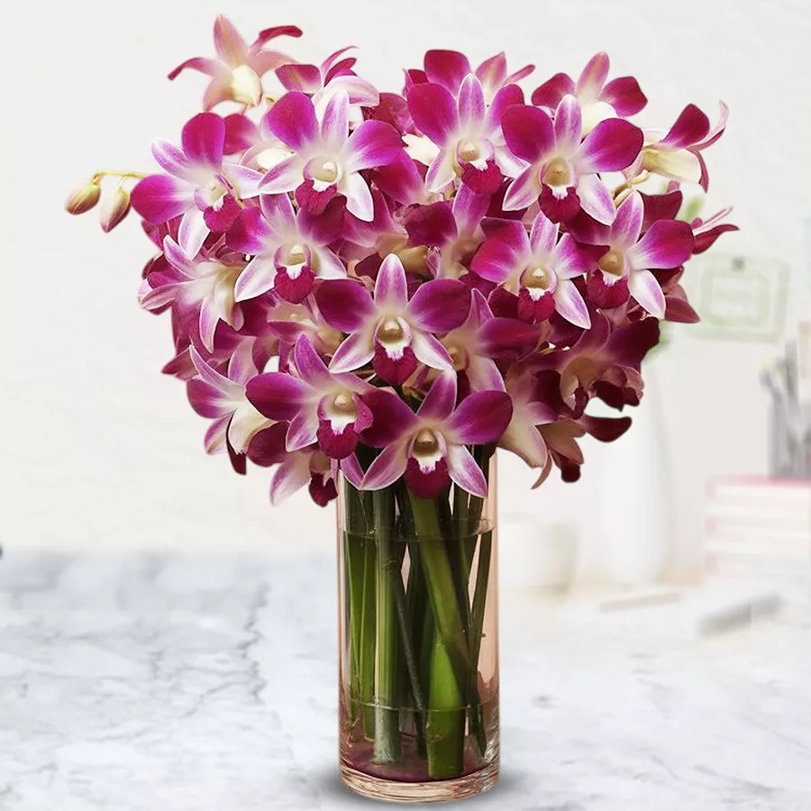 A stunning arrangement of 20 orchids in a glass vase, perfect for gifting and home decor.