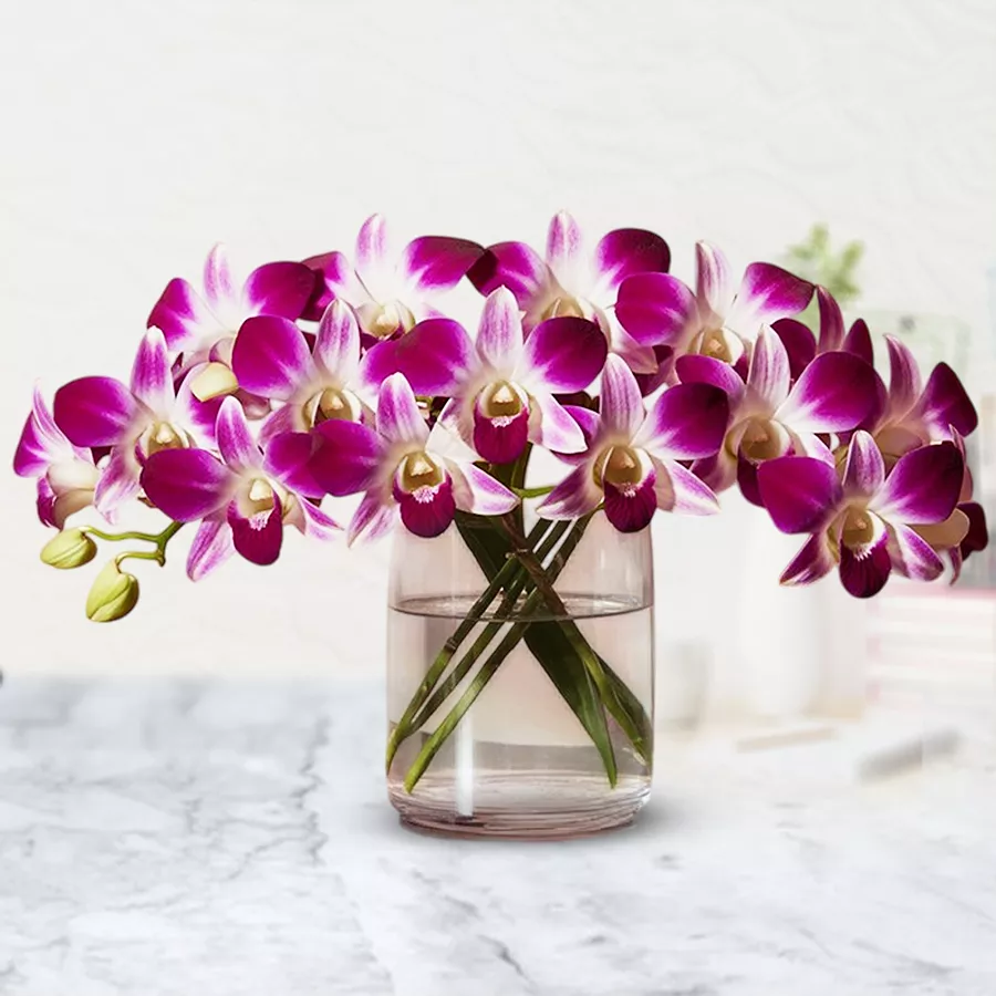 Ten stunning orchids arranged in a chic glass vase, showcasing vibrant colors and elegance.