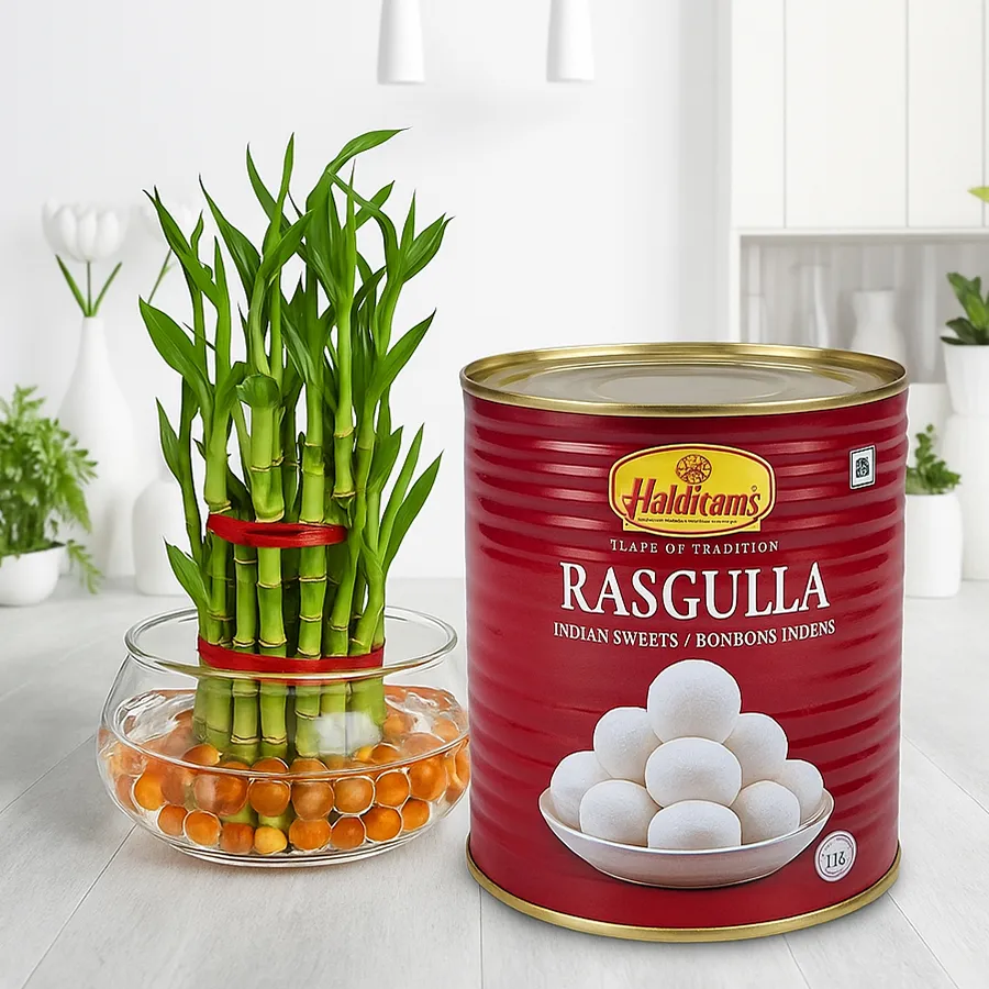 Haldirams Rasgulla and 2 Tier Lucky Bamboo in Glass Pot