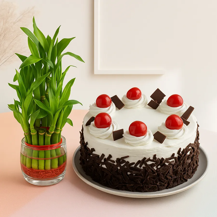 Blossom-Filled Double Layer Bamboo Stalks in Glass Pot with a 1 LB Black Forest Cake.