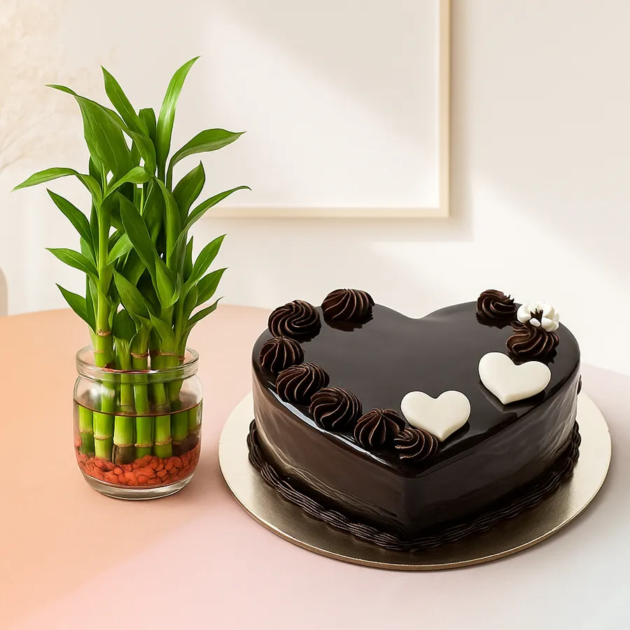 Heart-shaped chocolate cake paired with a two-tier lucky bamboo plant in a glass pot.