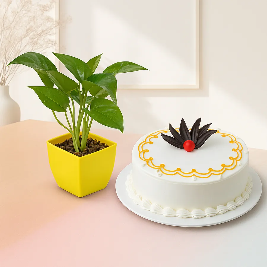 Money Plant in a plastic pot paired with a 1 LB Vanilla Cake, creating a sweet and green gift combination.