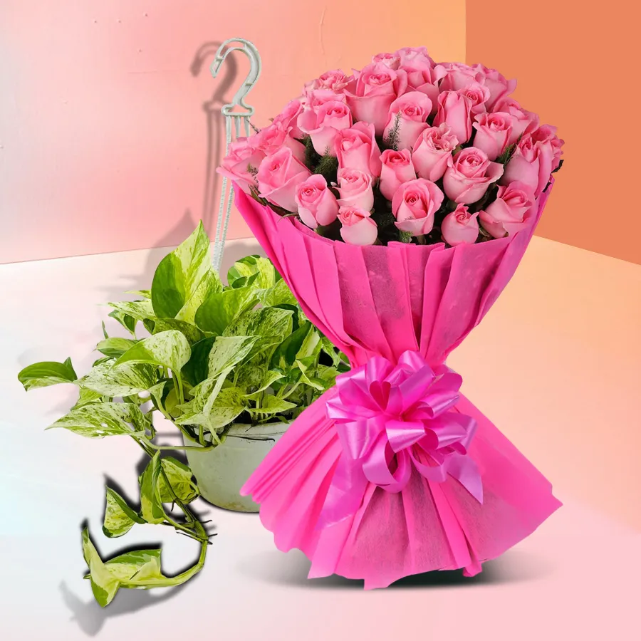 Hanging money plant paired with ten bright yellow roses, perfect for a housewarming gift.