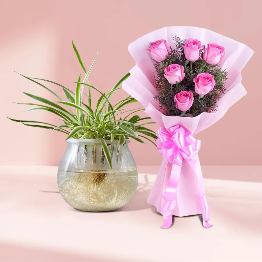 A charming arrangement of 10 pink roses and a spider plant in a glass pot, perfect for gifting on special occasions.
