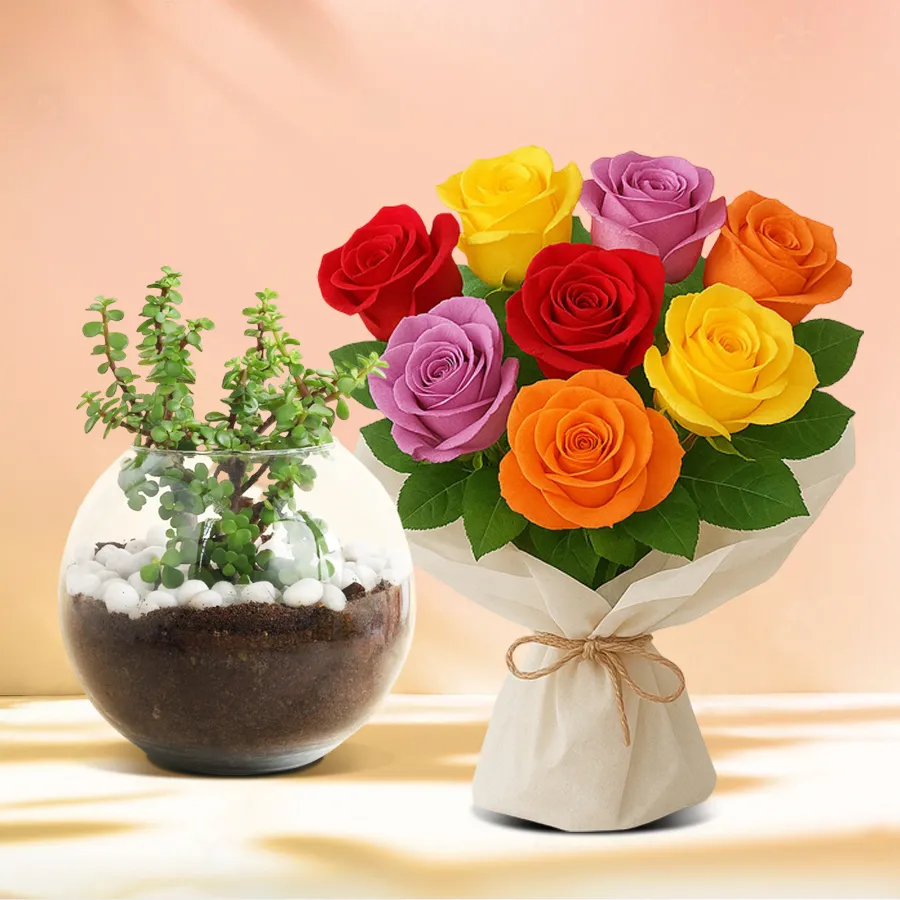 Botanical Jade Plant in a glass planter with a bouquet of 10 colorful roses.