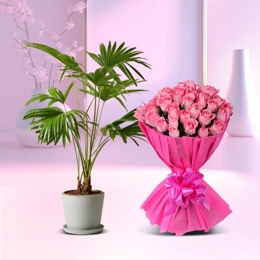China Palm in a plastic pot with a bouquet of ten pink roses, a perfect gift for loved ones.
