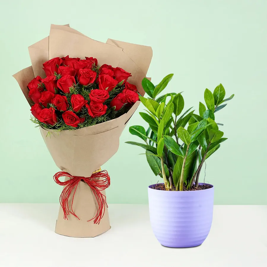 A vibrant Zamia plant in a tub alongside a bouquet of ten red roses, symbolizing love and purity.