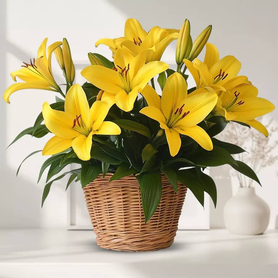 A bouquet featuring six vibrant yellow lilies, exuding elegance and positivity.