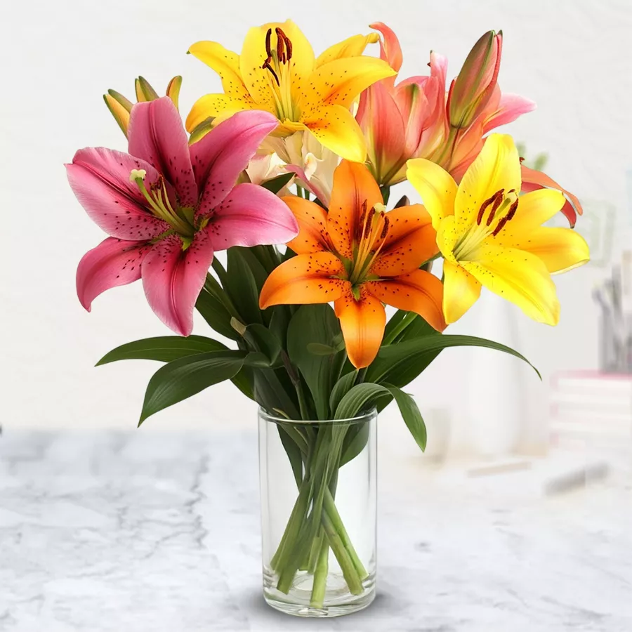Arrangement of 6 vibrant Color Lilies in a glass vase, ideal for gifts.