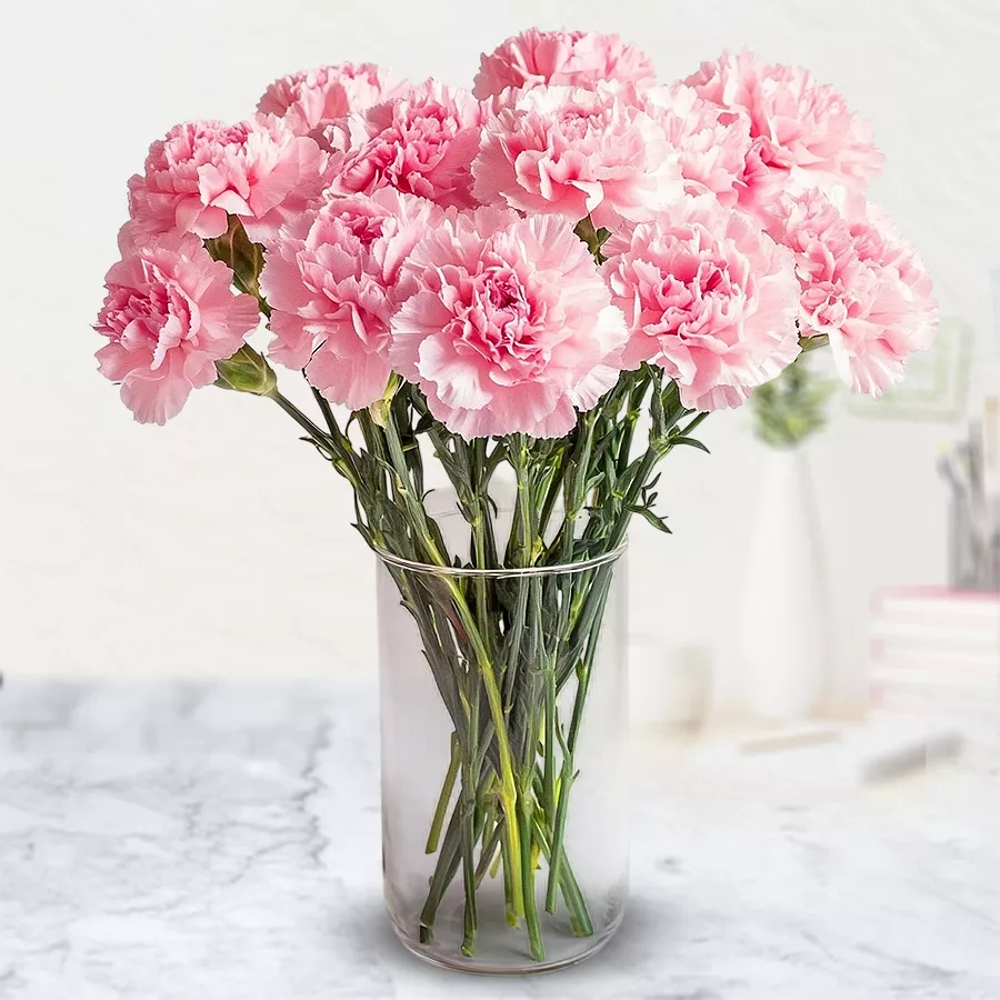 A lovely arrangement of 12 pink carnations in an elegant vase.