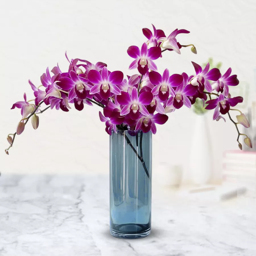A beautiful arrangement of 8 fresh orchids in a stylish glass vase, perfect for gifting.