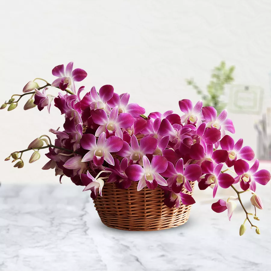 A stunning bouquet of 10 hand-crafted radiant orchids in vibrant colors.