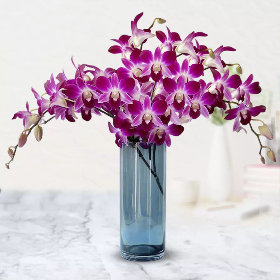 A beautiful arrangement of 10 mixed orchids in a clear glass vase, perfect for gifting or home decor.