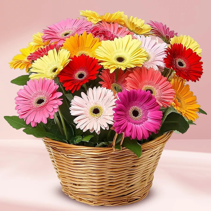 A vibrant bouquet of 15 mixed gerberas in various colors, perfect for brightening someone's day.