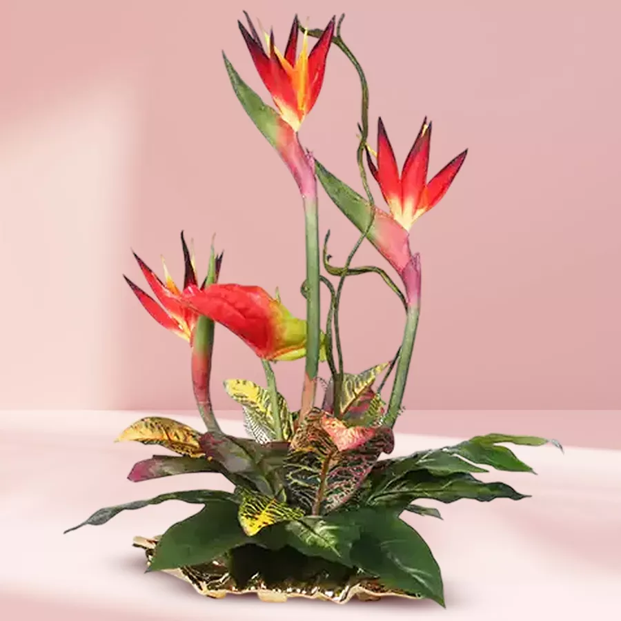 A vibrant floral arrangement featuring Birds of Paradise, Anthuriums, and exotic greenery, expertly designed for a tropical aesthetic.