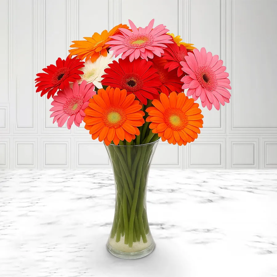 A stunning arrangement of 12 mixed gerberas in a stylish glass vase.