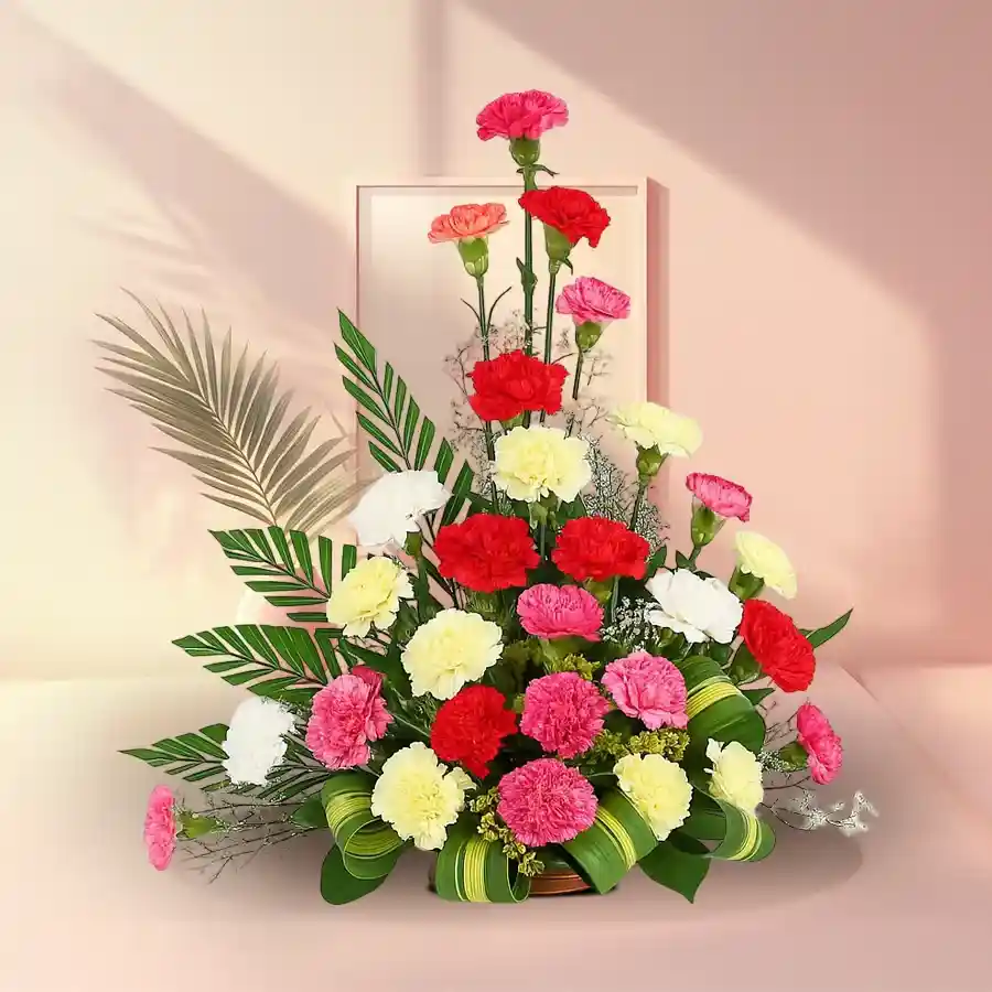 A vibrant arrangement of 30 mixed carnations designed to celebrate Mother's Day.