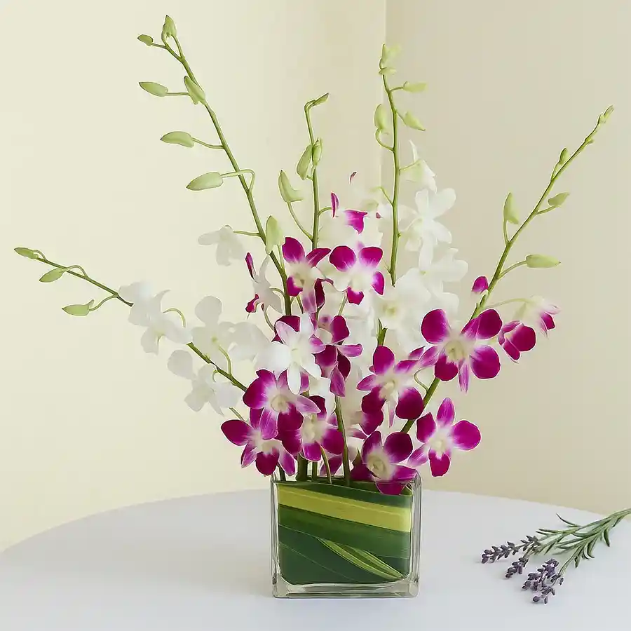 10 stem mixed orchids arranged in an elegant vase, showcasing vibrant colors and beauty.