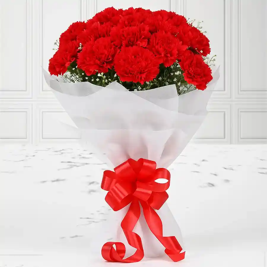 A charming bouquet of 12 vibrant red carnations, perfect for Mother's Day gifting.