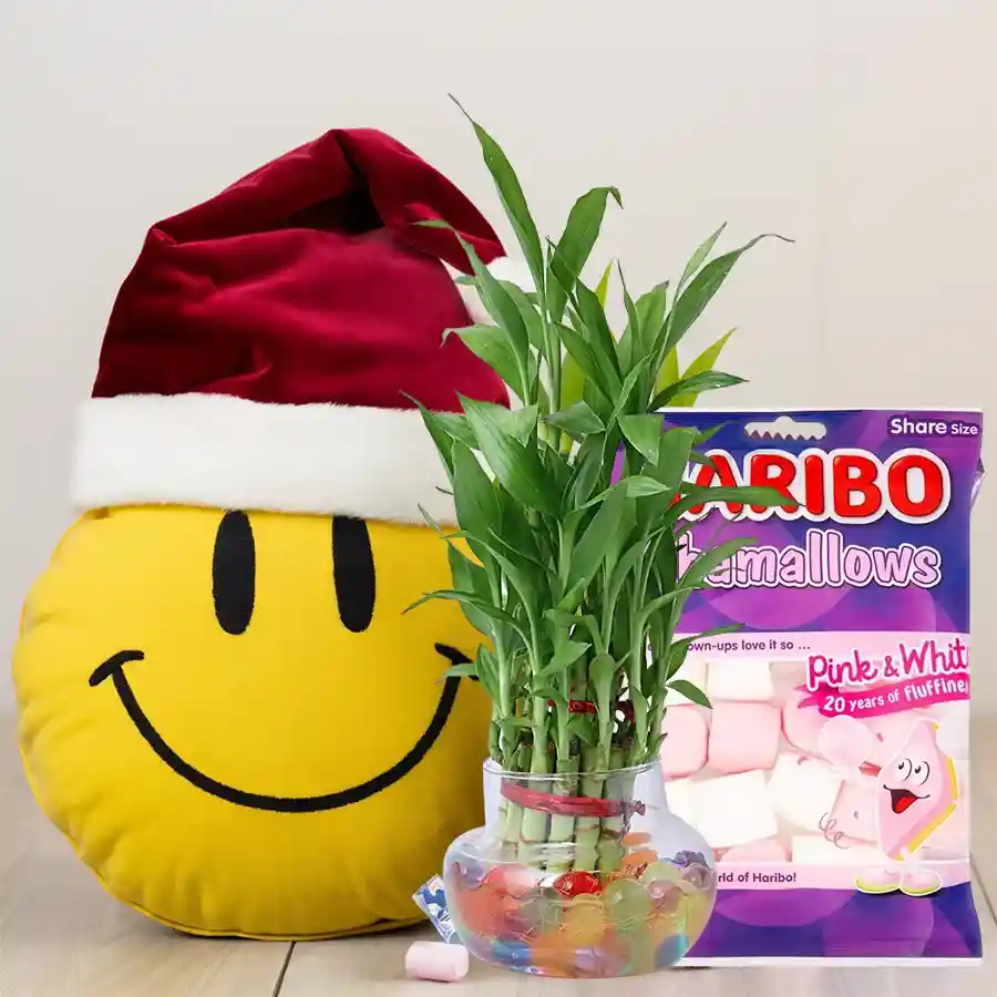 Exclusive Assortments Gift Combo featuring a Smiley Teddy in a Santa hat, a bag of Marshmelts Marshmello treats, and a 2-tier Lucky Bamboo plant