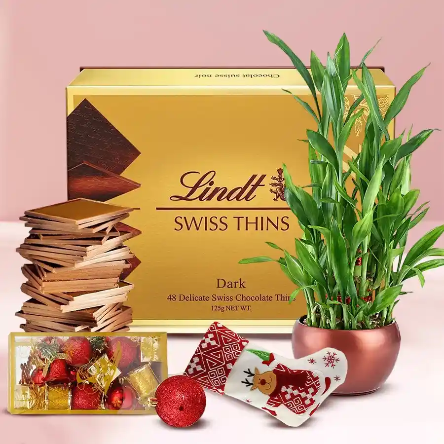 Delightful Lucky Bamboo and Lindt Swiss chocolates in festive Santa stockings gift combo