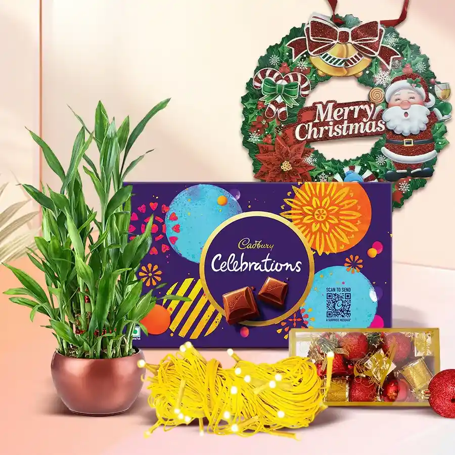 Auspicious Lucky Bamboo LED Light with Cadbury Celebration treat and Christmas wreath gift combo