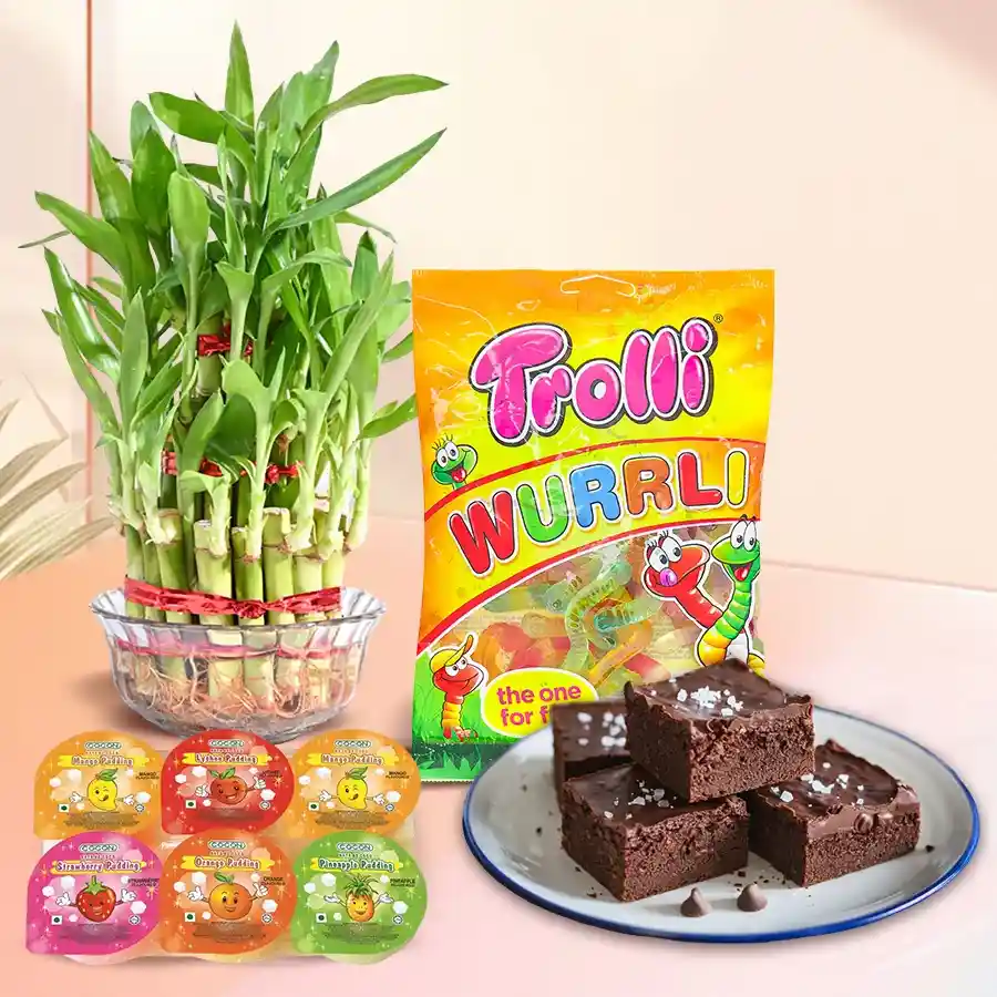 2-Tier Lucky Bamboo gift set with chocolates, fruity puddings, and brownies arranged in a decorative presentation.