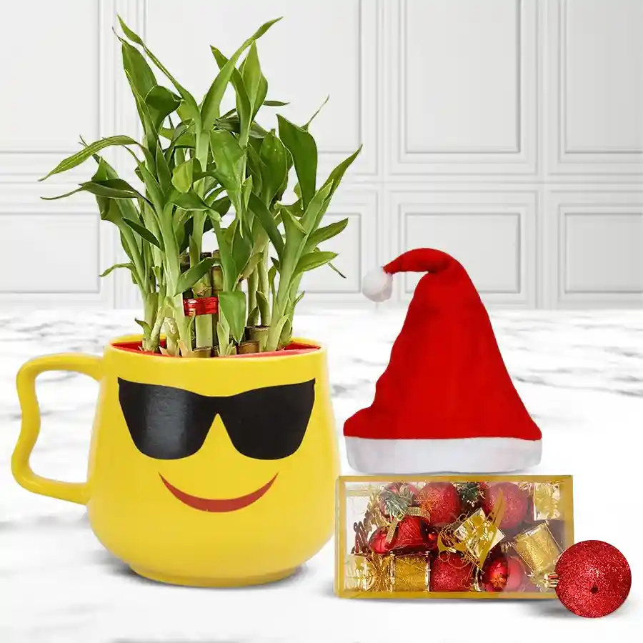 Stunning Plants Gift Hamper featuring a 2-tier Lucky Bamboo plant in a smiley cup adorned with Christmas decorations and a Santa Claus cap.