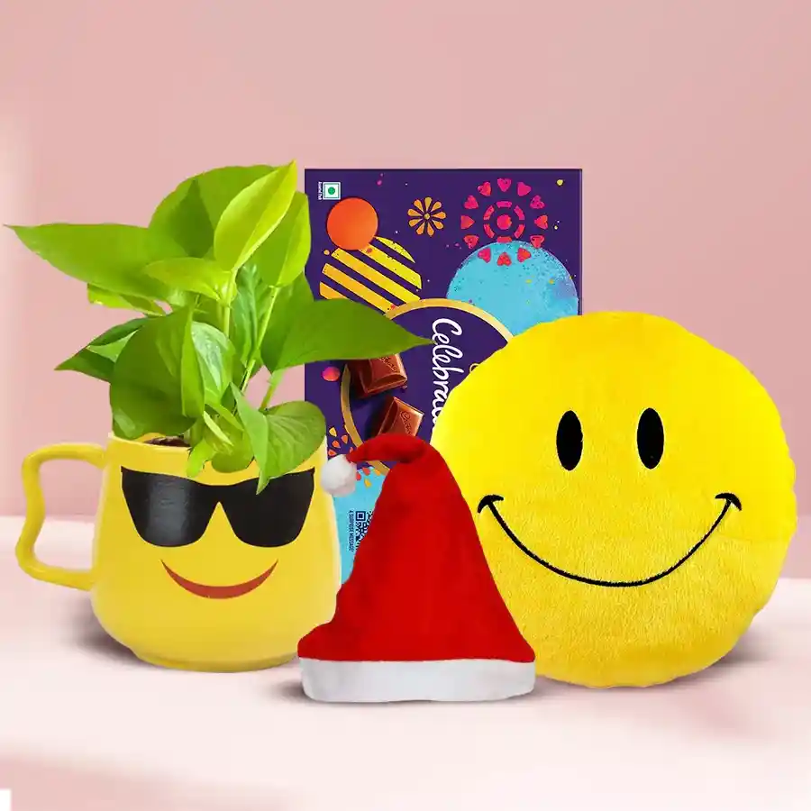 Amusing Plants Gift Hamper featuring a Money Plant in a smiley cup, a soft smiley cushion with a Santa hat, and a Cadbury Celebration bar.