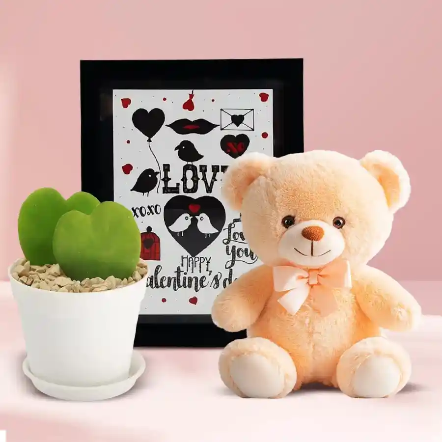 Handmade love frame with a Hoya heart plant and an 8-inch teddy bear arranged together for Valentine's Day.