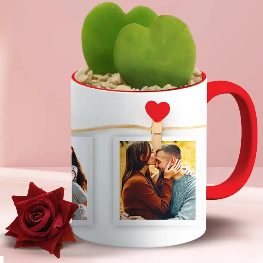 Amazing Hoya Heart Plant in a personalized photo coffee mug surrounded by a red velvet rose