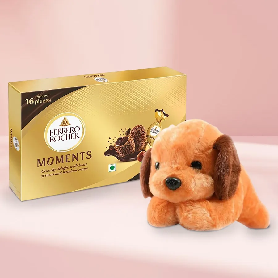 Cuddly brown dog soft toy next to a 16-piece Ferrero Rocher chocolate box