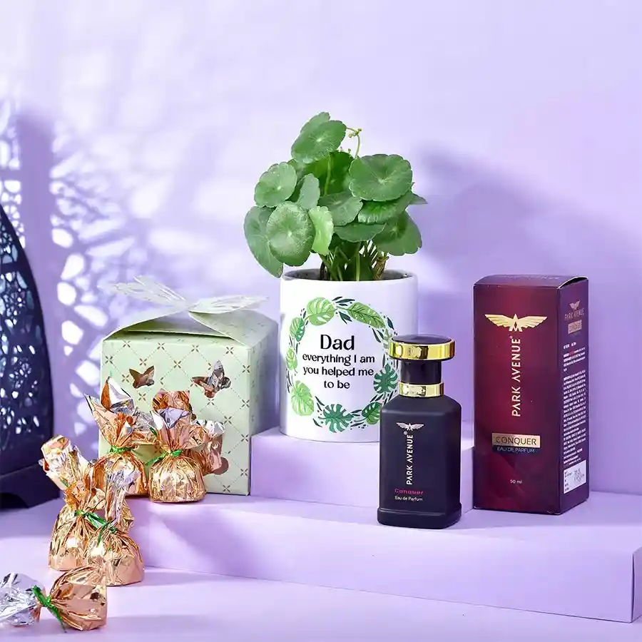 You Make Me Grow Dad Hamper featuring a Chinese Money Plant, handmade chocolates in a butterfly box, and Park Avenue Conquer Eau de Parfum.