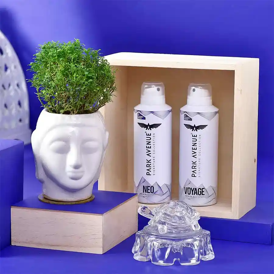 Wishing Prosperity Hamper for Dad featuring a Kamini Bonsai in a Lord Buddha ceramic pot, a Good Luck Glass Turtle set, and Park Avenue Signature Body Sprays in Voyage and Neo