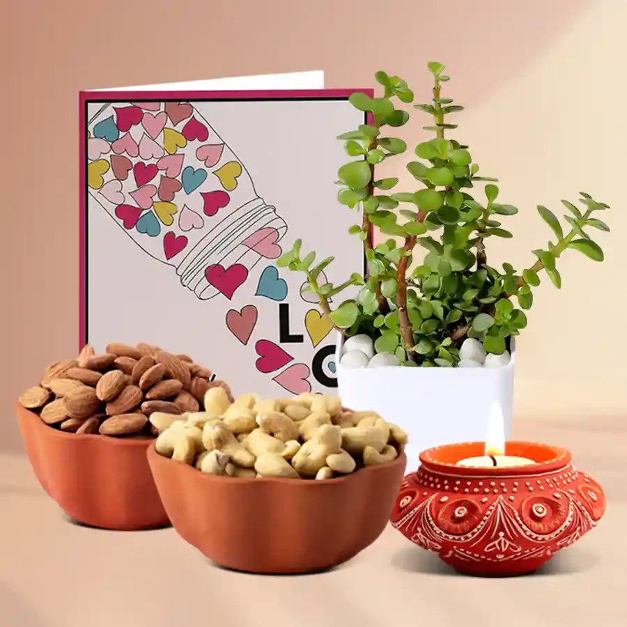 Festive Greenery Diya with a Jade Plant, cashews, and almonds in an elegant hamper for Diwali celebrations