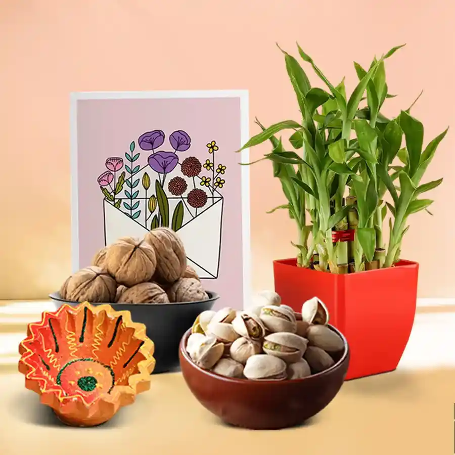Diwali gift hamper featuring a decorative Diya, pistachios, walnuts, and a three-tier Lucky Bamboo Plant with a message card