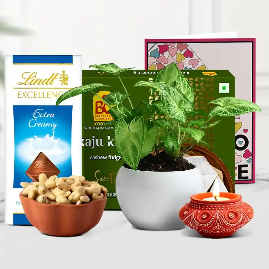 A beautifully arranged gift box containing a diya, Kaju Katli, Lindt chocolate, crunchy cashews, a Syngonium plant, and a message card, celebrating Diwali.