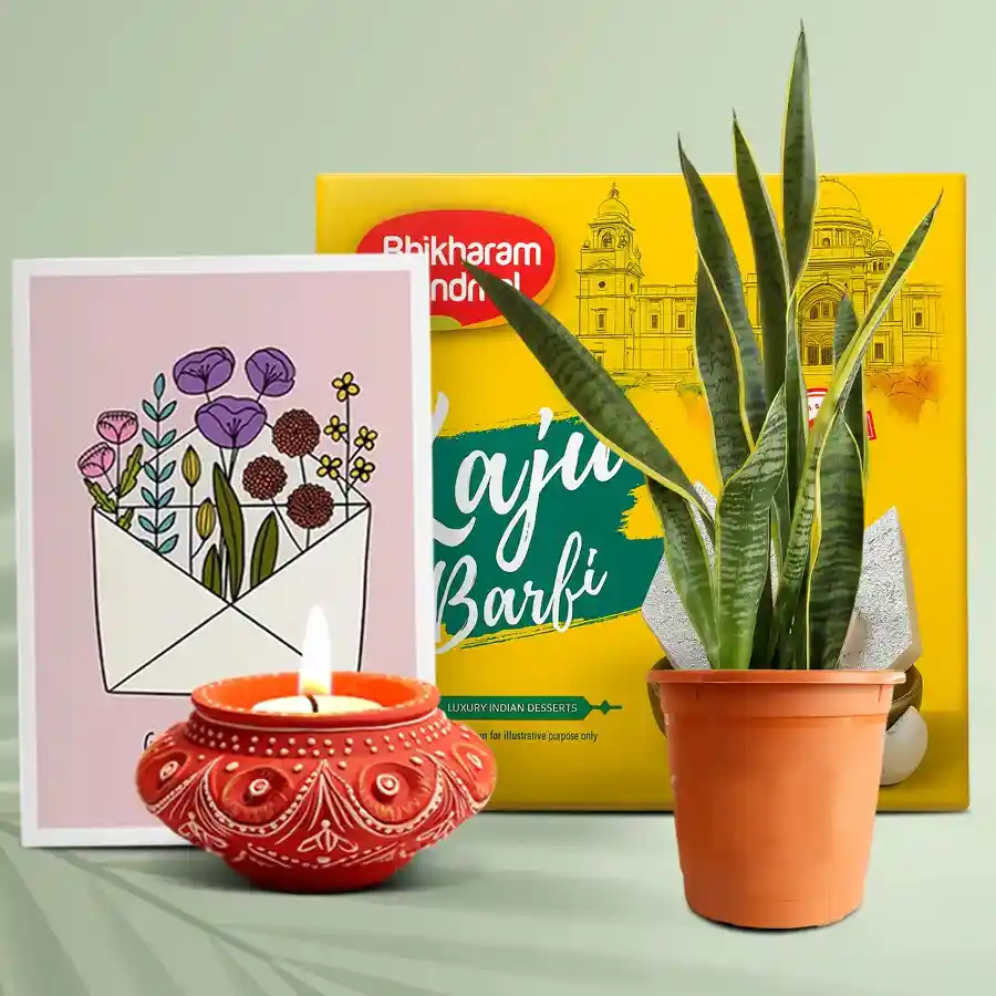 Diya, Kaju Barfi, Snake Plant in pot, and message card for Diwali celebration