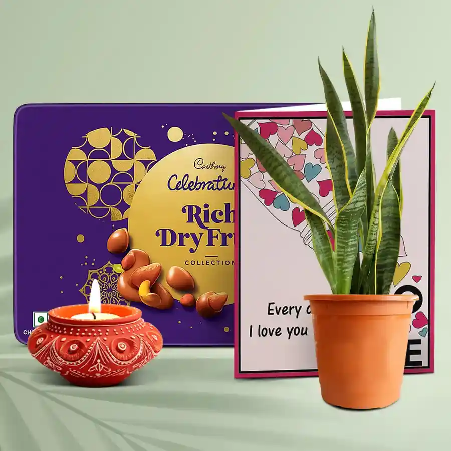 Cadbury Delights and Snake Plant Hamper featuring a handcrafted Diya, premium dry fruits, and a Snake Plant in a chic pot for Diwali celebrations.