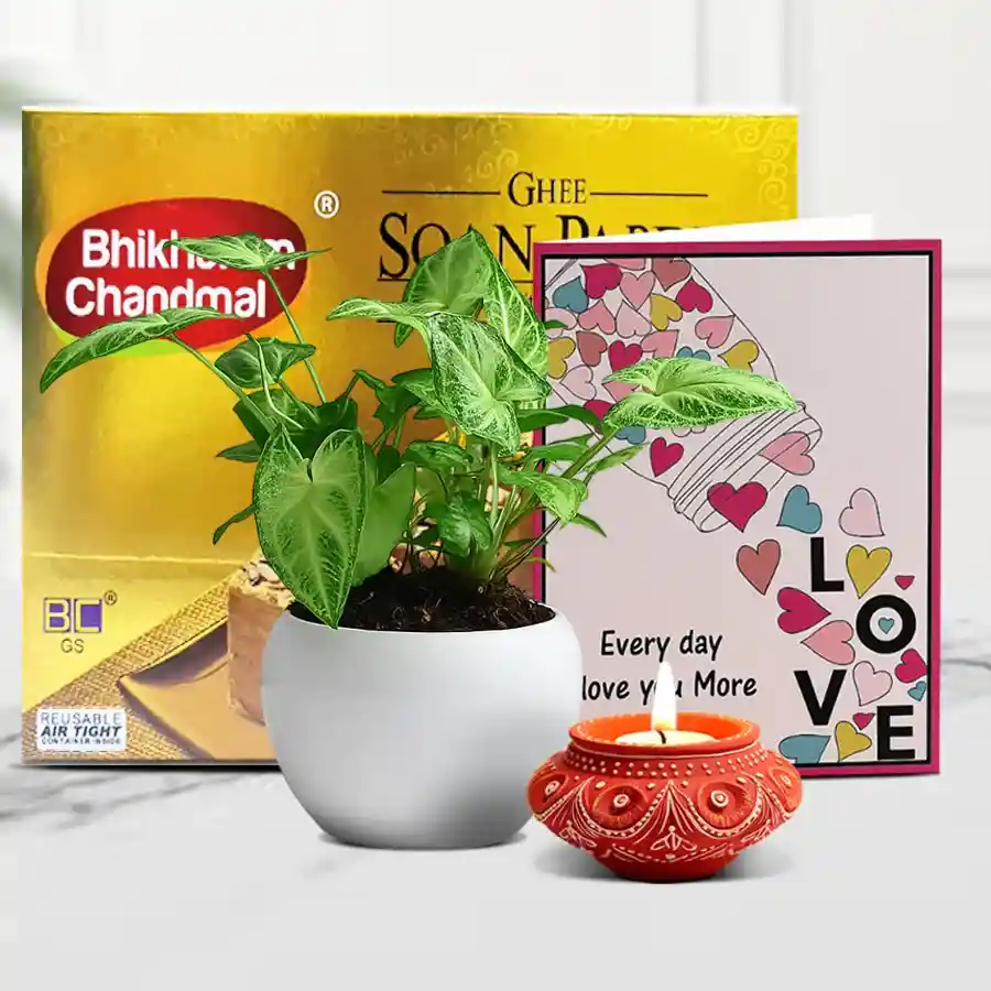 Festive Diya with Soan Papdi and Syngonium Plant in a decorative hamper for Diwali celebration.