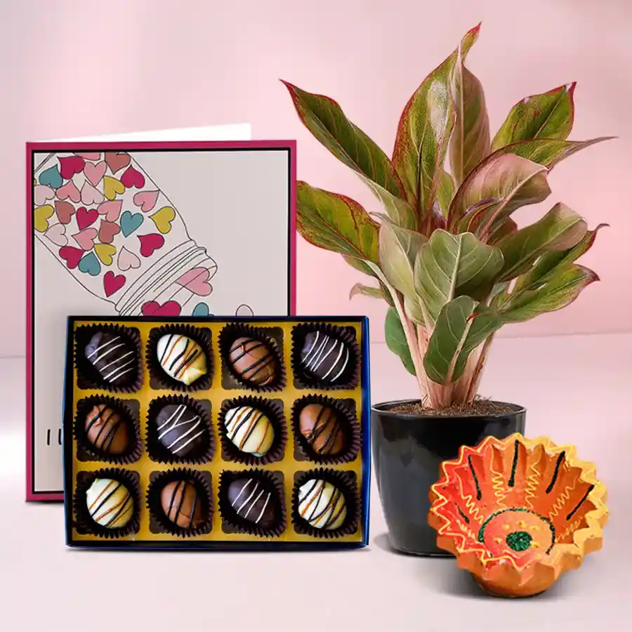 Festive Delights Chocolates and Green Hamper featuring handmade chocolates, a traditional Diya, and an Aglaonema Lipstick Plant, beautifully arranged for Diwali celebrations.