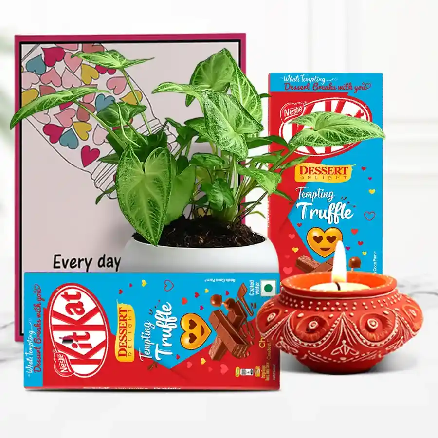 Diwali hamper featuring a diya, Syngonium plant, two KitKat Dessert Delight chocolate bars, and a message card